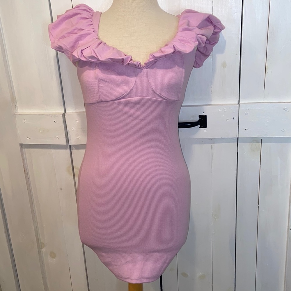 NWOT Free People Beach Pink Roses Ruffled Mini Dress
